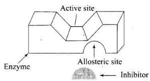 NCERT Exemplar: Chemistry in Everyday Life (Old NCERT) | Chemistry for JEE Main & Advanced