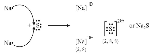 Types of Chemical Bonds | Physical Chemistry for NEET