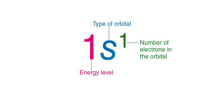 Electronic Configuration of Elements & Periodic Table | Chemistry Class 11 - NEET