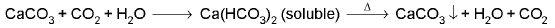 Important Qualitative Analysis Formulas for JEE and NEET