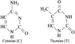 NCERT Exemplar: Biomolecules | Chemistry Class 12 - NEET