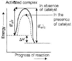 NCERT Exemplar: Chemical Kinetics | Chemistry Class 12 - NEET