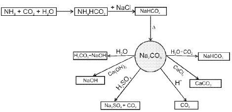 Important S-Block Elements & Their Compounds Formulas for JEE and NEET