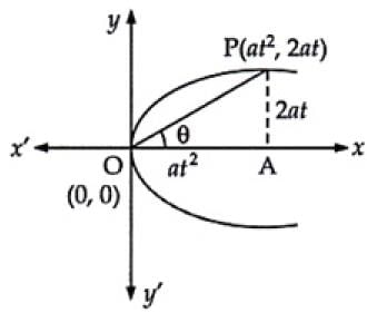 NCERT Exemplar: Conic Sections (Exercise) | Mathematics (Maths) for JEE Main & Advanced