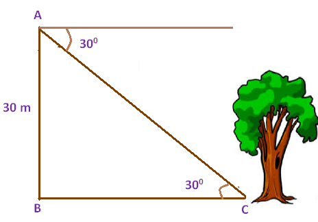 Basic Trigonometric Functions and Identities | Mathematics (Maths) Class 11 - Commerce