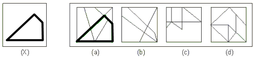 Science Olympiad Model Test Paper - 3 | Science Olympiad Class 6