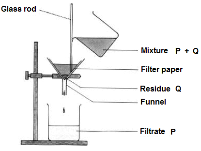Science Olympiad Previous Year Paper - 2 | Science Olympiad Class 6
