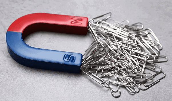 NCERT Summary: Exploring Magnets | Science for Class 6
