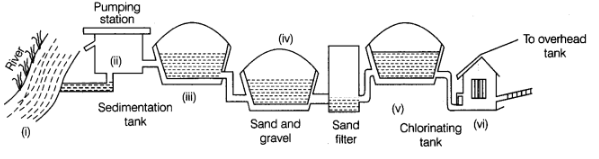 Class 7 Science Chapter 13 HOTS Questions - Wastewater Story