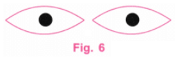 Playing with Constructions NCERT Solutions | Mathematics for Class 6