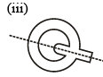 Symmetry Class 7 Worksheet Maths Chapter 12