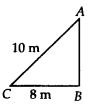 NCERT Exemplar Solutions: Triangles | Mathematics (Maths) Class 7 (Old NCERT)