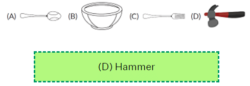 Olympiad Notes: Odd One Out | Science Olympiad Class 6