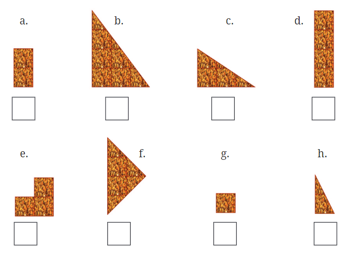 Fractions NCERT Solutions | Mathematics for Class 6