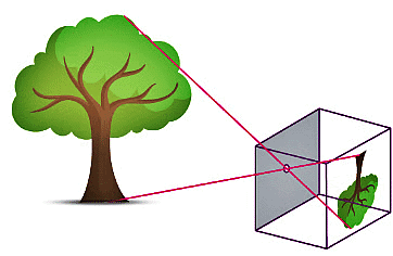 Olympiad Notes: Light, Shadows and Reflections | Science Olympiad Class 6