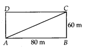 NCERT Exemplar Solutions: Triangles | Mathematics (Maths) Class 7 (Old NCERT)