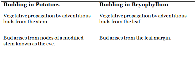 Class 7 Science Chapter 8 Question Answers - Reproduction in Plants