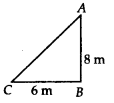 NCERT Exemplar Solutions: Triangles | Mathematics (Maths) Class 7 (Old NCERT)