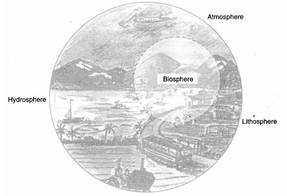 Domains of Environment