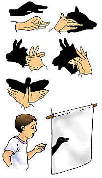 Olympiad Notes: Light, Shadows and Reflections | Science Olympiad Class 6