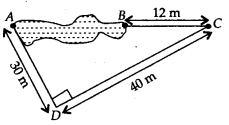 NCERT Exemplar Solutions: Triangles | Mathematics (Maths) Class 7 (Old NCERT)