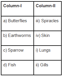 NCERT Exemplar Solutions: Respiration in Organisms | Science Class 7 (Old NCERT)