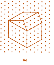 NCERT Solutions for Class 7 Maths - Visualising Solid Shapes- 1