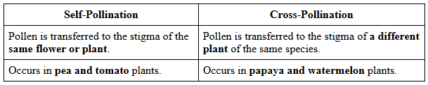 Unit Test (Solutions): Reproduction in Plants | Science Class 7 (Old NCERT)