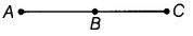 NCERT Exemplar Solutions: Geometry | Mathematics (Maths) Class 6
