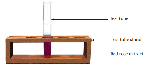Class 7 Science Chapter 2 NCERT Based Activity - Exploring Substances: Acidic, Basic and Neutral