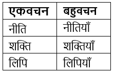 वचन Chapter Notes | Hindi Grammar for Class 6