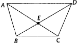 NCERT Exemplar Solutions: Geometry | Mathematics (Maths) Class 6