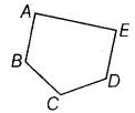 NCERT Exemplar Solutions: Geometry | Mathematics (Maths) Class 6