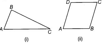 NCERT Exemplar Solutions: Geometry | Mathematics (Maths) Class 6