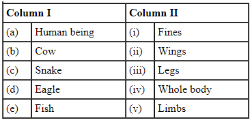NCERT Exemplar Solutions: Body Movements | Science Olympiad Class 6