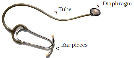 NCERT Exemplar Solutions: Transportation in Animals & Plants | Science Class 7 (Old NCERT)