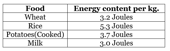 NCERT Exemplar Solutions: Fractions & Decimals | Maths Olympiad Class 6