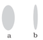NCERT Exemplar Solutions: Light, Shadow and Reflections | Science Olympiad Class 6