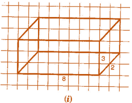 NCERT Solutions for Class 7 Maths - Visualising Solid Shapes- 1