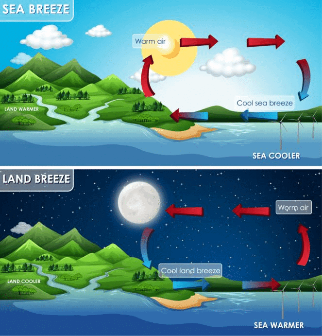 Mnemonics : Heat Transfer in Nature | Science (Curiosity) Class 7 - New NCERT