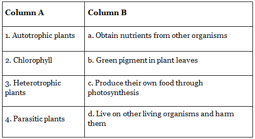 Worksheets With Solutions: Nutrition in Plants Class 6 Worksheet Science Chapter 1