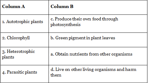Worksheets With Solutions: Nutrition in Plants Class 6 Worksheet Science Chapter 1