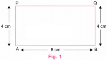 Playing with Constructions NCERT Solutions | Mathematics for Class 6
