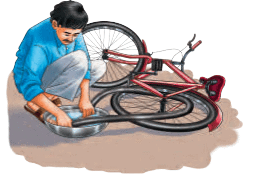 NCERT Based Activity: The Wonderful World of Science | Science for Class 6