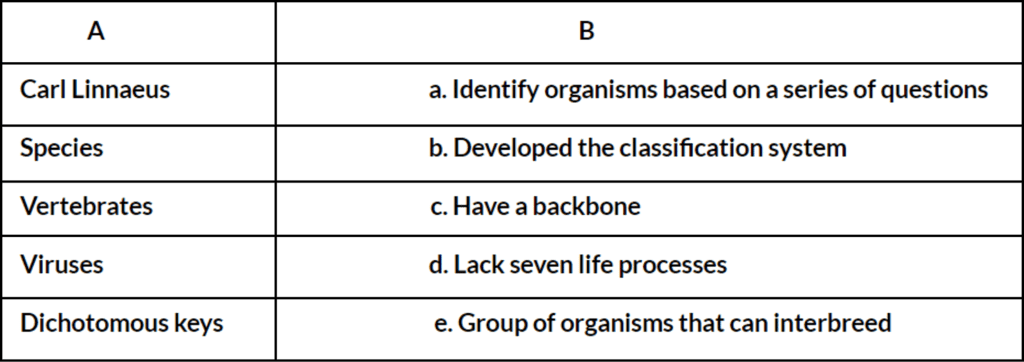 Worksheet: Classification | IGCSE Cambridge Science for Year 7 - Class 7