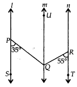 NCERT Exemplar Solutions: Lines & Angles | Mathematics (Maths) Class 7 (Old NCERT)