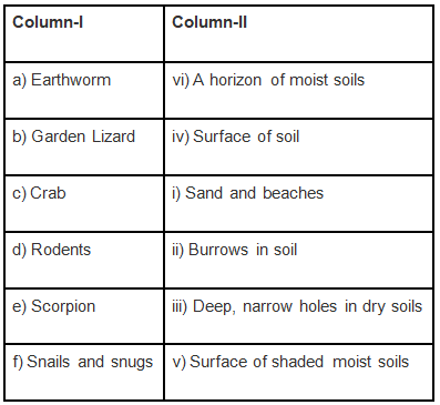 NCERT Exemplar Solutions: Soil | Science Olympiad Class 7