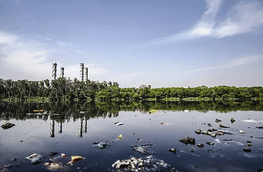 Olympiad Notes: Pollution and Calamities - Class 6