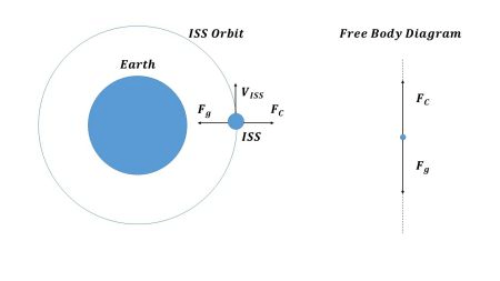 Textbook Solution : Forces and their Effects | IGCSE Cambridge Science for Year 7 - Class 7