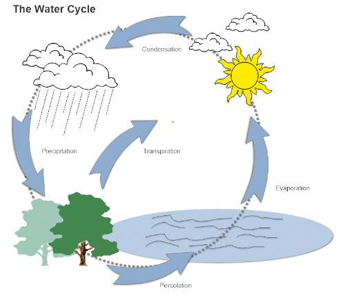 Class 7 Geography Chapter 5 Question Answers - Water